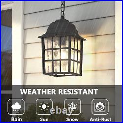 Outdoor Pendant Light 2-Pack, Exterior Ceiling Hanging Lantern Porch Light